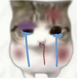A heavily distorted cat face photo with blue vertical lines under the eyes and purple/discolored markings, humorously edited to look dazed or exhausted—visually representing the post's theme of being overwhelmed by "Cat meta and Meowpin at $60k."