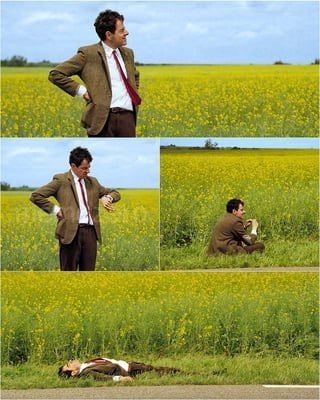 A four-panel comedic sequence in a yellow rapeseed field shows a man in a brown suit progressively sinking into the flowers, ending with him lying flat on the ground.