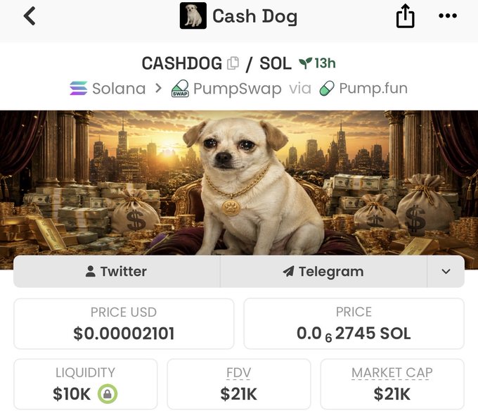 A screenshot of a "Cash Dog" cryptocurrency token page on what appears to be a DEX tracker, showing the $CASHDOG/SOL pair with a price of $0.00002101, $10K liquidity, and $21K FDV/Market Cap, featuring an AI-generated image of a small dog wearing a gold chain sitting among money bags and gold bars. The image relates to the post by displaying the token's contract details and market metrics that would be associated with the giveaway promotion.