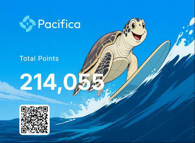 The image shows a Pacifica trading dashboard featuring a cartoon turtle surfing a wave, with "Total Points: 214,055" displayed alongside a QR code. The graphic visually reinforces the post's message about consistent, steady accumulation ("still stacking... letting it compound") by symbolizing a laid-back surfer turtle embodying the patient, non-reactive strategy of steadily building points on Pacifica rather than chasing market narratives.