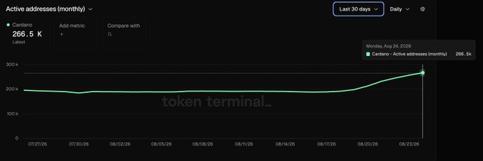 The image shows a Token Terminal chart tracking Cardano's ($ADA) monthly active addresses over the last 30 days, displaying a steady upward trend that culminated at 266.5K active addresses on Monday, Aug 24, 2026. The visualization supports the claim of approximately 38% growth in network activity, with the line graph clearly depicting the recent acceleration from a baseline around 190K to its peak near 266.5K.