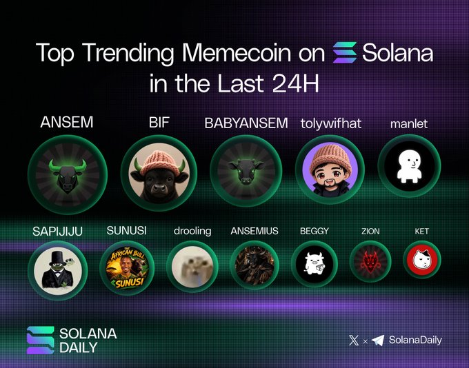 A promotional graphic from SolanaDaily showcases the "Top Trending Memecoin on Solana in the Last 24H," featuring 12 circular coin avatars with names like ANSEM, BIF, BABYANSEM, and others, set against a purple gradient background.