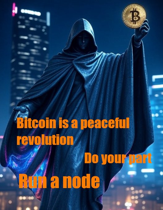 Image of a hooded figure holding up a Bitcoin token against a city skyline at night, with text reading 'Bitcoin is a peaceful revolution. Do your part. Run a node.'