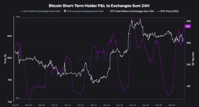 The image is a chart titled "Bitcoin Short-Term Holder P&L to Exchanges Sum 24H" tracking STH Profit-to-Exchanges (gray) and Loss-to-Exchanges (purple) flows against BTC Price (USD) from September 4-28, showing the purple line spiking to roughly $45K near September 28 as Bitcoin traded around $42K—illustrating the recent surge in short-term holders realizing profits on exchanges as the broader narrative discusses cooling institutional demand despite ETF inflows.
