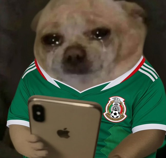 A dog appears to cry while wearing a green Mexico soccer jersey and holding a smartphone.