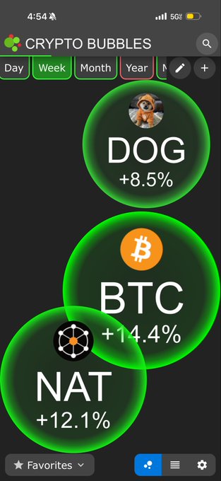 A screenshot of the 'Crypto Bubbles' mobile app showing cryptocurrency price bubbles with DOG up 8.5%, BTC up 14.4%, and NAT up 12.1%, displayed on a Year view.