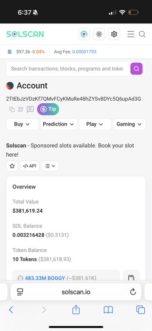 A mobile screenshot of solscan.io displaying a Solana account overview with a Total Value of $381,619.24, a SOL balance of 0.00321628, and 10 Tokens worth $381,618.93.