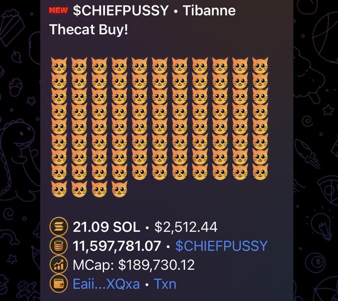A meme coin page titled '$CHIEFPUSSY' shows rows of cat emojis with details: 21.09 SOL ($2,512.44), 11,597,781.07 tokens, and MCap of $189,730.12.