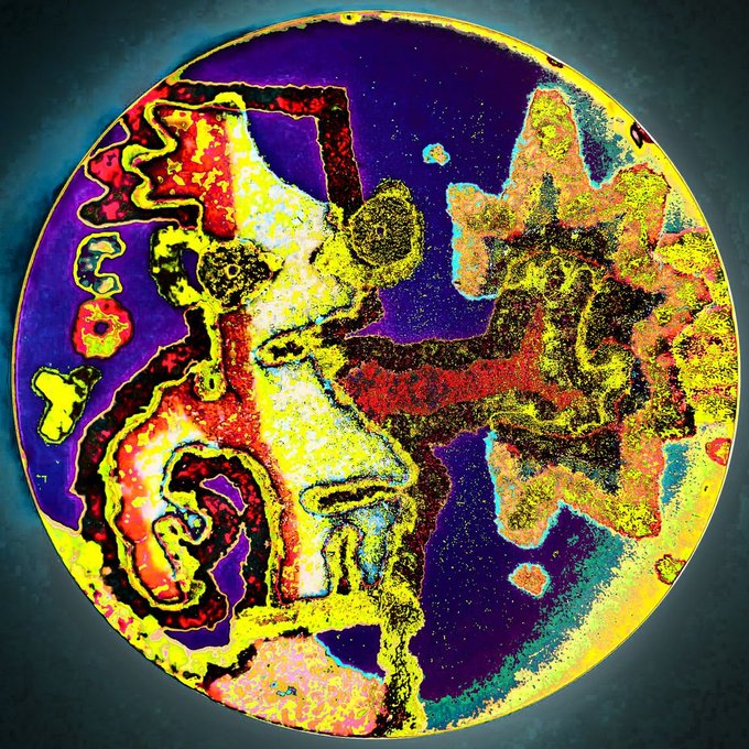 An abstract, circular digital artwork featuring a heavily textured, distorted figure in vibrant yellows, reds, and purples.