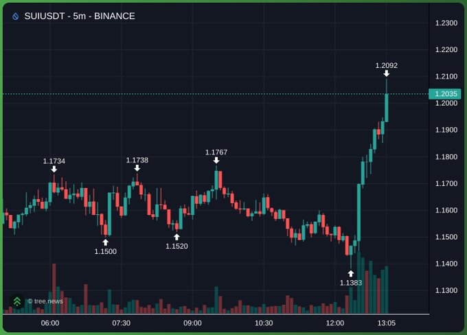 A candlestick chart of 'SUIUSDT - 5m - BINANCE' showing a sharp price spike. Marked values include 1.1734, 1.1500, 1.1738, 1.1520, 1.1767, 1.1383, and a peak at 1.2092.