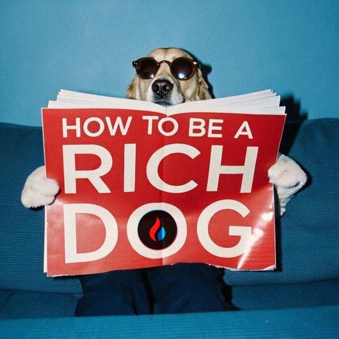 A humorous photo of a dog wearing sunglasses and reading an open red book titled 'HOW TO BE A RICH DOG'.