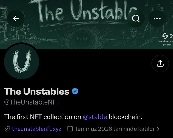 A Twitter profile page for "The Unstables" (@TheUnstableNFT), described as "The first NFT collection on @stable blockchain," linking to theunstablenft.xyz with a chalkboard-style header banner featuring the collection name. The image shows the verified account that the post is celebrating, as the user excitedly mentions securing 10 guaranteed spots before today's mint launch.