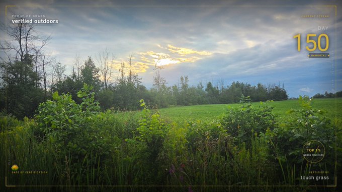 A landscape photograph of a green field and trees at sunset, framed by a UI overlay reading 'PROOF OF GRASS verified outdoors,' 'CURRENT STREAK DAY 150,' and 'DAY 6 touch grass,' with a 'TOP 1% GRASS TOUCHERS' badge.