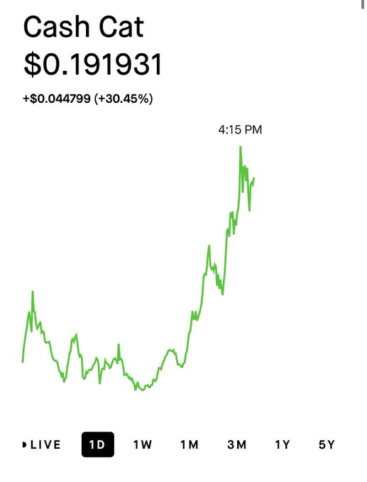 A RobinhoodApp 1-day chart for "Cash Cat" shows the ticker rallying to $0.191931, up +$0.044799 (+30.45%), with a sharp upward spike near 4:15 PM—illustrating the post's bullish theme of "putting the cash in the cat."