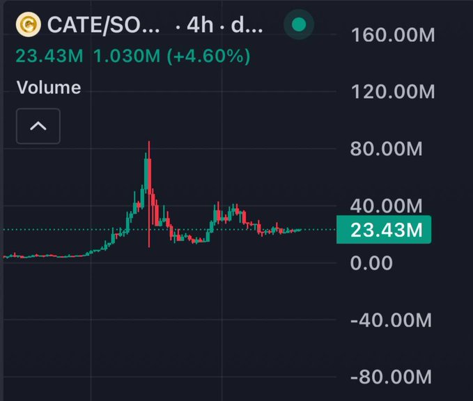 The image shows a 4-hour candlestick chart for the CATE/SOL trading pair on what appears to be a crypto exchange, displaying a volume of 23.43M (up 4.60%) with notable price spikes reaching approximately 80M at peak activity before settling back down. The "for the ppl" caption aligns with the meme/community-driven nature of the $CATE token, which appears to have experienced significant volatility and high trading volume recently.
