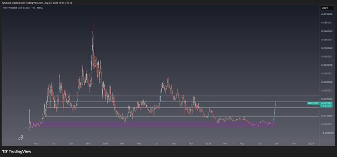 A candlestick chart from TradingView shows Non-Playable Coin (USDT) on a 1D timeframe, displaying the NPC token's price action from mid-2025 into 2026 with a major peak around 0.060 area and current consolidation near 0.01380 within a highlighted purple support zone. The chart visually supports the bullish thesis by showing a prolonged base formation after a significant run, suggesting accumulation before a potential breakout.