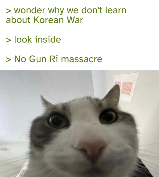 A meme featuring a close-up of a wide-eyed cat looking directly at the camera, with green text above reading "> wonder why we don't learn about Korean War / > look inside / > No Gun Ri massacre."
