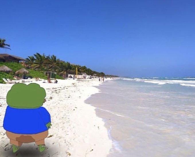 A digitally edited image of a cartoon frog character with a blue shirt standing on a tropical white sand beach with turquoise water, palm trees, and resort buildings in the background.