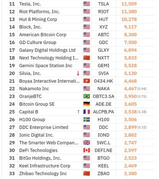 A stock/crypto holdings list ranks companies including Tesla (TSLA) at 11,509, Riot Platforms (RIOT) at 11,380, Hut 8 Mining (HUT) at 10,278, Block (XYZ) at 9,117, and American Bitcoin Corp (ABTC) at 8,300.