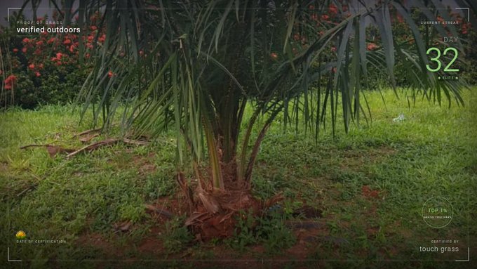 A young palm-like plant stands on bare reddish soil surrounded by green grass, with overlays reading "PROOF OF GRASS verified outdoors," "DAY 32," "TOP 1% GLOBAL TOUCHERS," and "CERTIFIED BY touch grass" — celebrating the poster's 32-day streak in the Proof of Grass outdoor verification challenge.