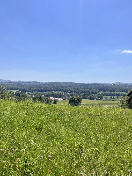 A scenic landscape view features a lush green grassy field in the foreground, rolling hills covered in trees, and a bright blue sky with scattered clouds.