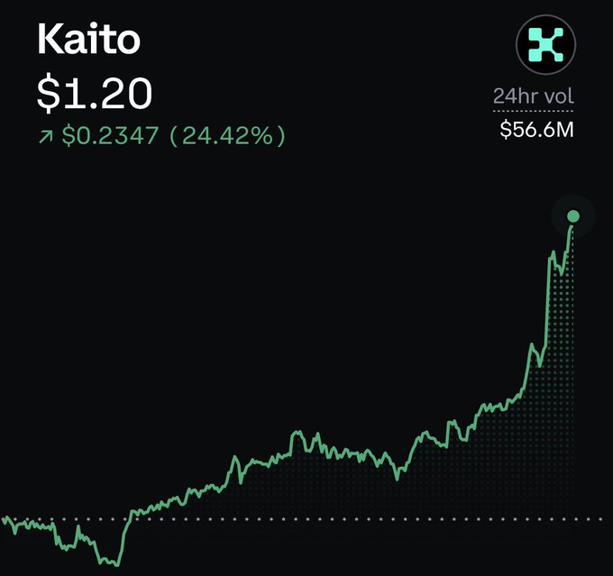 The image shows a price chart for the cryptocurrency Kaito (KAITO) trading at $1.20, up 24.42% ($0.2347) with a 24-hour volume of $56.6M, displaying a sharp upward spike at the right side. The chart visually supports the post's playful sympathy toward anyone who shorted KAITO before the announcement, as the dramatic price surge would have resulted in significant losses for short-sellers.