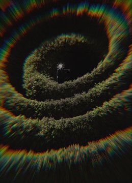 A psychedelic image of a forest canopy arranged in a spiral pattern with a bright light at the center, displayed with a colorful chromatic aberration effect.