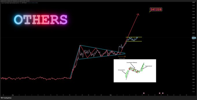 A trading chart titled "OTHERS" displays a price pattern forming a symmetrical triangle (highlighted in cyan) with an inset diagram illustrating the "Symmetrical Triangle" pattern, projecting a bullish breakout target of **247.22B**. The candle structure shows a strong rally followed by consolidation, aligning with the post's bullish "$OTHERS 📈" outlook.