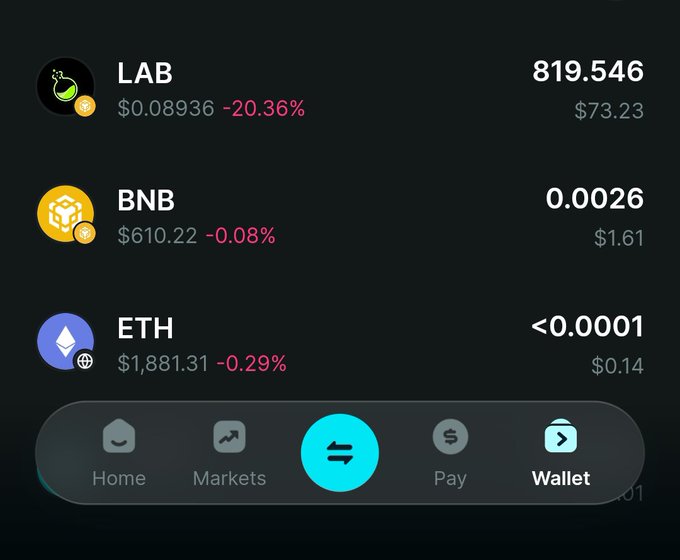 A cryptocurrency wallet app screen showing holdings for LAB ($0.08936, -20.36%), BNB ($610.22, -0.08%), and ETH ($1,881.31, -0.29%), with a navigation bar featuring Home, Markets, Pay, and Wallet options.