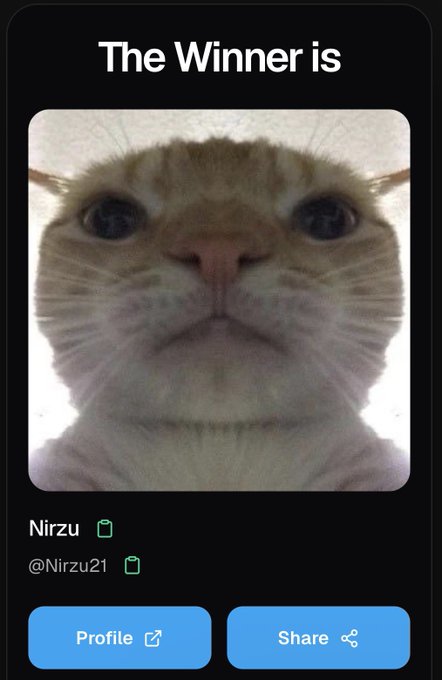 The image shows a close-up photo of a cat with a serious expression, displayed on what appears to be a winner announcement screen titled "The Winner is" featuring the username "Nirzu" (@Nirzu21) along with "Profile" and "Share" buttons. This serves as a celebratory graphic announcing Nirzu21's $300 win on MetaWin as referenced in the accompanying post.
