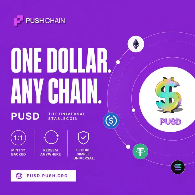 The image features a purple background with white text, which reads "One dollar. Any chain. PUDD. The universal stablecoin." Below this, there are illustrations of various cryptocurrencies such as Bitcoin, Ethereum, and Ripple, along with icons representing different types of chains like Bitcoin Cash, Bitcoin Core, and Bitcoin SV. The image also includes a caption that says "crypto somehow created a digital dollar; then split it across 50+ chains you've got USDC on one chain, USDT on another, and suddenly sending a simple payment turns into a bridge tutorial that's why @PushChain introduced PUDD."