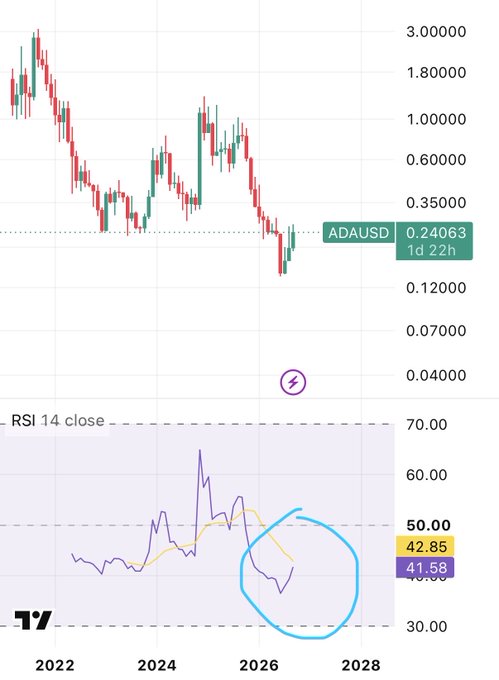 Cardano (ADAUSD) price chart showing 1-day timeframe with current price at 0.24063, featuring an RSI 14 indicator below with a circled section near 41.58.