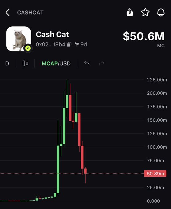 Mobile trading app screenshot showing Cash Cat (CASHCAT) token at $50.6M market cap on MCAP/USD chart, with candlesticks showing a peak near $225M followed by a sharp decline to current levels, listed at 9 days old.