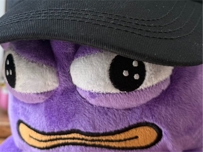 A close-up of a purple plush character with large white eyes and a yellow beak, wearing a black cap.