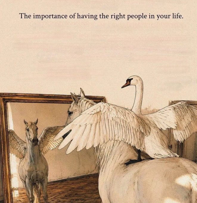An illustration of a white swan with outstretched wings standing behind a white horse that is looking at its own reflection in a mirror, captioned 'The importance of having the right people in your life.'