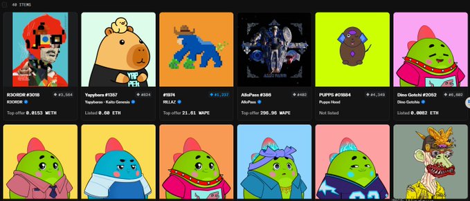 This image displays a user's NFT collection, featuring items like R3ORDR, Yapybara, RILLAZ, AlloPass, PUPPS, and Dino Gotchi. The post asks for recommendations on other NFTs worth collecting, implying the displayed NFTs are the user's current holdings.