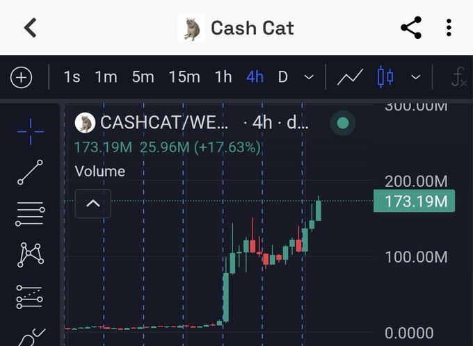 A TradingView chart for the meme coin 'Cash Cat' (CASHCAT/WETH) showing a 4-hour candlestick graph with a 17.63% gain to 173.19M and a volume of 25.96M.
