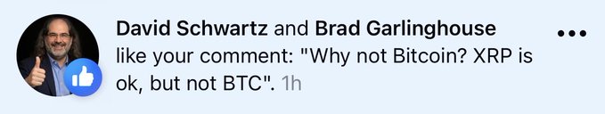 A social media comment notification stating 'David Schwartz and Brad Garlinghouse like your comment: "Why not Bitcoin? XRP is ok, but not BTC". 1h'