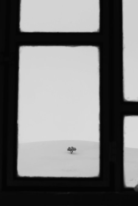 A black and white photograph looking through a dark window frame at a lone tree standing in a minimalist, pale landscape.