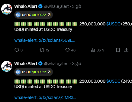 Twitter/X feed from Whale Alert (@whale_alert) showing two recent USDC minting transactions of 250,000,000 USDC each at the USDC Treasury via whale-alert.io/solana links.