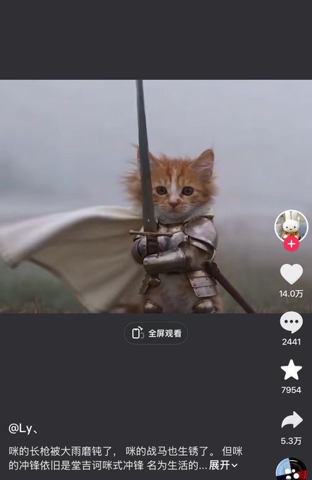A TikTok-style video showing an orange cat dressed in medieval knight armor holding a sword, with 14.0万 likes and Chinese text mentioning 吉诃喵 (Don Quixote cat).