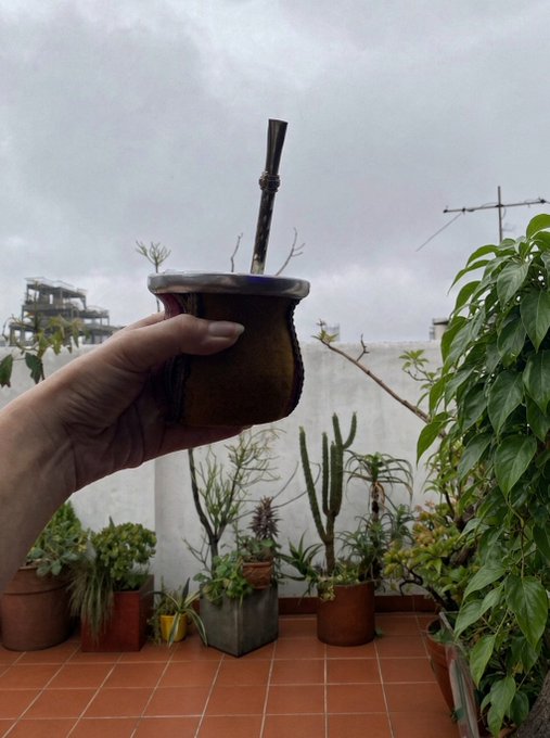 A hand holds up a small dark ceramic mate cup with a metal bombilla straw, photographed against an outdoor balcony filled with various potted cacti and plants under an overcast sky.