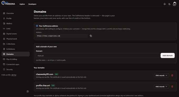 The image shows the SolPersona "Domains" settings page, displaying the user's address (https://chaz.solpersona.com) and options to add custom domains like "chazwesley99.com" and "profile.chaz.art", with DNS records already linked. This directly supports the post by illustrating SolPersona's feature that allows users to connect their own domains to their profile alongside the default subdomain.