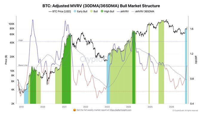 The image is a chart titled "BTC: Adjusted MVRV (30DMA/365DMA) Bull Market Structure," displaying Bitcoin's price in USD from 2019 to 2026 alongside its adjusted MVRV ratio, with color-coded regions marking "Early Bull" (blue) and "Bull" (green) periods on the CryptoQuant platform. The chart visually supports the insight by showing the adjusted MVRV crossing above its baseline line in early bull phases—such as late 2023 and again at the right edge of the chart—coinciding with turning points in BTC price momentum.