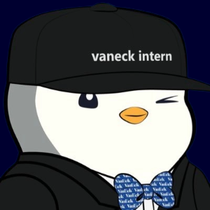 The image features a cartoon penguin wearing a black hat with white text that says "Vaneck Intern". The penguin appears to be dressed in a suit, complete with a bow tie, giving off an air of professionalism or formality. The background is dark blue, which contrasts nicely with the white and black elements on the penguin's outfit. The image also contains some text that reads "@vaneck_us launches VBNB—the first U.S. ETF offering direct spot exposure to BNB. What it means: 1. BNB enters traditional finance markets 2. Institutional access just expanded 3. Crypto ETFs are moving beyond BTC & ETH Altcoin ETF season is accelerating."