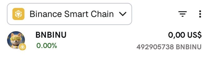 The image shows a Binance Smart Chain wallet balance displaying 0.00 US$ worth of BNBINU tokens, with a total holding of 492,905,738 BNBINU. This relates to the accompanying post about a $BNBINU airdrop event offering up to 150,000,000 tokens, where users would need to complete tasks like following and reposting to claim their allocation.