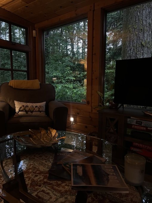 A cozy wooden cabin interior with a brown armchair, TV, and a glass coffee table with a magazine.