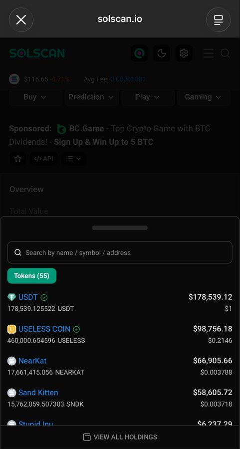 A mobile view of the solscan.io interface shows a wallet's token holdings, highlighting large balances in 'USDT' ($178,539.12), 'USELESS COIN' ($98,756.18), 'NearKat' ($66,905.66), and 'Sand Kitten' ($58,605.72).