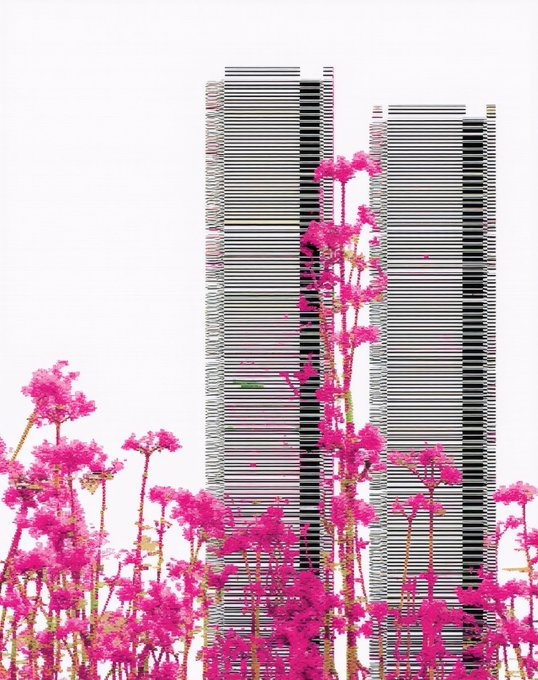 Two tall, modern skyscrapers with horizontal striped facades rise behind vibrant pink flowering plants against a white sky.