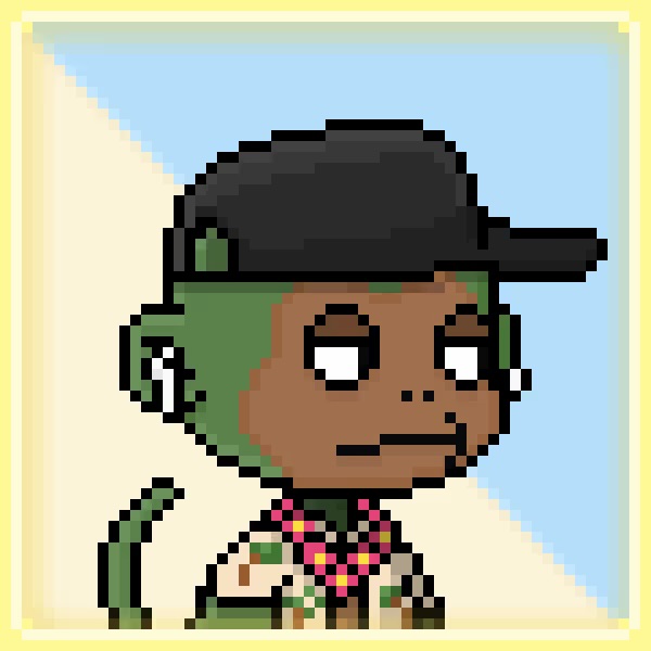 A pixel art illustration of a character with green hair wearing a black cap and a colorful beaded necklace against a light blue and yellow background.